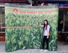 Backdrop จัดบูธ งานโฆษณา‎ เชียงใหม่