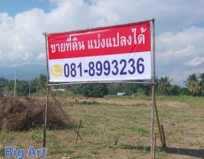 Banner insert bamboo in chiang mai