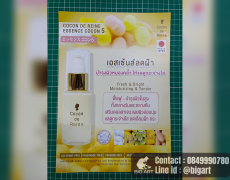 รับปริ้นใบปลิว ใบเมนู  กระดาษเมนู กระดาษอาร์ตมัน  ร้านป้ายเขียงใหม่